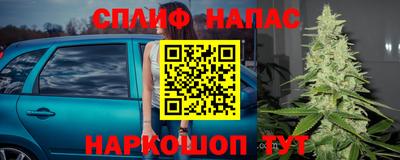 трава Абакан