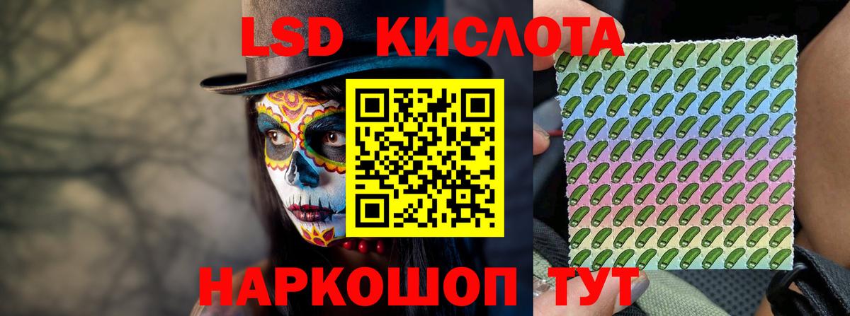 ГАШИШ Россия